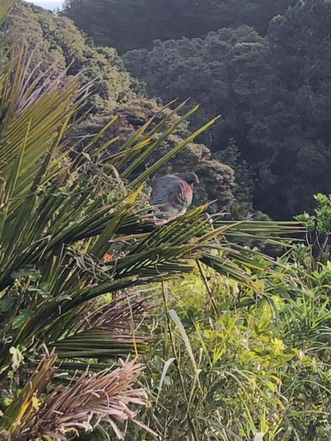 Muriwai Lodge Exteriér fotografie